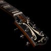 GODIN 5TH AVENUE JUMBO P-RAIL GUITARE JAZZ ELECTRIQUE HARVEST GOLD
