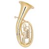 MIRAPHONE 54L 0700A BARYTON BB 4 PALETTES VERNI + Housse