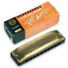 SEYDEL BLUES SESSION ANTIK 10201A HARMONICA 10 TROUS C
