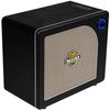MOOER HORNET30IBK AMPLI GUITARE AVEC BLUETOOTH COMBO 30W +EFFETS NOIR