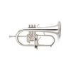 STOMVI ELITE BUGLE ARGENTEE étui & embouchure