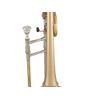 BACH A47XPS ARTISAN "PETER STEINER" TROMBONE COMPLET VERNI avec étui