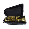 BAGS EV1 ETUI RIGIDE EUPHONIUM FUSION BLACK