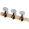 GEWA PRO ARTE JEU DE MECANIQUES POUR GUITARE CORDES NYLON DORE LYRE