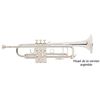 BACH STRADIVARIUS 180ML 37/25 TROMPETTE SIB VERNIE avec étui