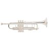 BACH STRADIVARIUS 180SML-37G TROMPETTE SIB ARGENTEE avec étui