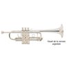 BACH STRADIVARIUS C180L 239/25H TROMPETTE UT VERNI avec étui