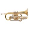 BACH STRADIVARIUS 184ML CORNET SIB VERNI avec étui et embouchure