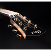 CORT GOLDO6BNAT "GOLD O6" GUITARE FOLK ACOUSTIQUE NATURELLE + étui