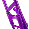 PBONE TROMBONE EN RESINE ABS VIOLET avec housse et embouchure