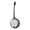 VGS PREMIUM BANJO TENNESSEE 5 CORDES - Avec étui