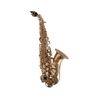 CONN SC650D SAXOPHONE SOPRANO COURBE avec étui & bec