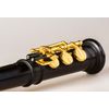 MOLLENHAUER MODERNE 5924E FLUTE A BEC ALTO GRENADILLE TRIPLE CLE