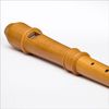 MOLLENHAUER MODERNE 5926E FLUTE A BEC SOPRANO POIRIER PATTE DE SIB