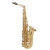 SELMER AXOS SAXOPHONE ALTO VERNI avec etui/bec