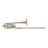 BACH LT50B3G TROMBONE BASSE COMPLET VERNI - Pavillon rose avec étui