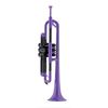 PTRUMPET TROMPETTE EN RESINE ABS VIOLETTE avec housse et embouchure
