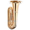 B&S GR55-L "PT-600" TUBA SIB 4 PALETTES VERNI avec housse