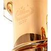 B&S GR55-L "PT-600" TUBA SIB 4 PALETTES VERNI avec housse