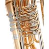 B&S GR55-L "PT-600" TUBA SIB 4 PALETTES VERNI avec housse