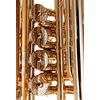 B&S GR55-L "PT-600" TUBA SIB 4 PALETTES VERNI avec housse