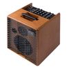 ACUS ONE FORSTRINGS 6T WOOD AMPLI ACOUSTIQUE 100W