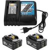 ACUS KIT CHARGEUR + 2 BATTERIES 18V