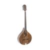 GEWA PRO ARTE BOUZOUKI IRLANDAIS MATE ANTIQUE