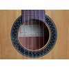 ALHAMBRA 1C "HYBRID TERRA" SENORITA GUITARE CLASSIQUE 7/8 avec housse