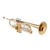 MTP 810-ALLEGRO II TROMPETTE SIB VERNI + ETUI