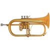 B&S 3146/2-GL BROCHON "CHALLENGER II" BUGLE VERNI - étui & embouchure