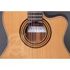 ALHAMBRA CS1 CW E8 Serie S GUITARE CLASSIQUE ELECTRO avec housse