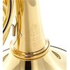 HANS HOYER G10A-L1 COR DOUBLE VERNI avec étui/embouchure
