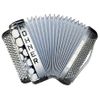 HOHNER FUN PRO 96 BASSES NOIR TAGGE GRIS