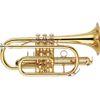 YAMAHA YCR 8335G CORNET NEO SIB pavillon rose verni avec étui