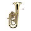 COURTOIS AC366 LEGEND SAXHORN ARGENTÉE avec étui et embouchure