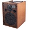 ACUS ONE FORSTRINGS 8 WOOD AMPLI ACOUSTIQUE 200W