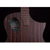 MICHAEL KELLY FORTE EXOTIC JE GUITARE FOLK ELECTO JAVA EBONY