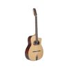 ALTAMIRA M01D GUITARE MANOUCHE "GRANDE BOUCHE" - Livré en étui