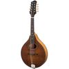 EASTMAN PCH-M104 MANDOLINE A-STYLE ROSACE OVALE CLASSIC FINISH