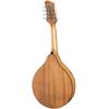 EASTMAN PCH-M104 MANDOLINE A-STYLE ROSACE OVALE CLASSIC FINISH