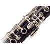 BUFFET CRAMPON RC GREENLINE CLARINETTE SIB 440/442 AVEC ETUI