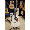 BOUCHER BG-152-M BLUEGRASS D-SIZE MADAGASCAR ROSEWOOD MASTER PACK