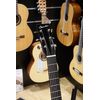 BOUCHER BG-152-M BLUEGRASS D-SIZE MADAGASCAR ROSEWOOD MASTER PACK