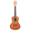 KALA KA-15C UKULELE CONCERT ACAJOU BRILLANT
