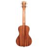 KALA KA-15C UKULELE CONCERT ACAJOU BRILLANT