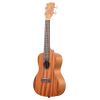 KALA KA-15C UKULELE CONCERT ACAJOU BRILLANT