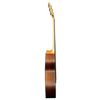 BRUNSWICK BF200TB GUITARE FOLK ACOUSTIQUE GRAND AUDITORIUM T SUNBURST