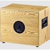 ORTEGA CONE-WND AMPLI ACOUSTIQUE 100W 2 CANAUX REV/CHORUS NOYER