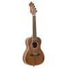 ORTEGA RUWN UKULELE CONCERT NOYER